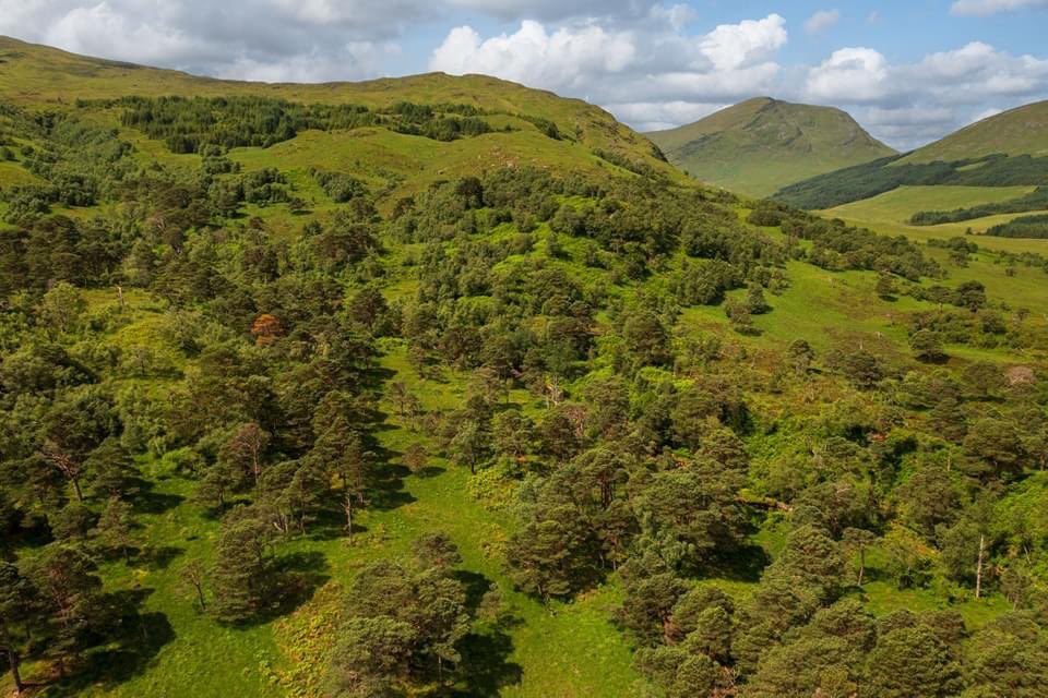 Auchreoch | 1520 acres of hill land lying within the Loch Lomand and Trossacs National Park. Stunning views, superb natural capital and amenity potential and existing native Caledonian Pine forest. 

👇
galbraithgroup.com/property/per23…