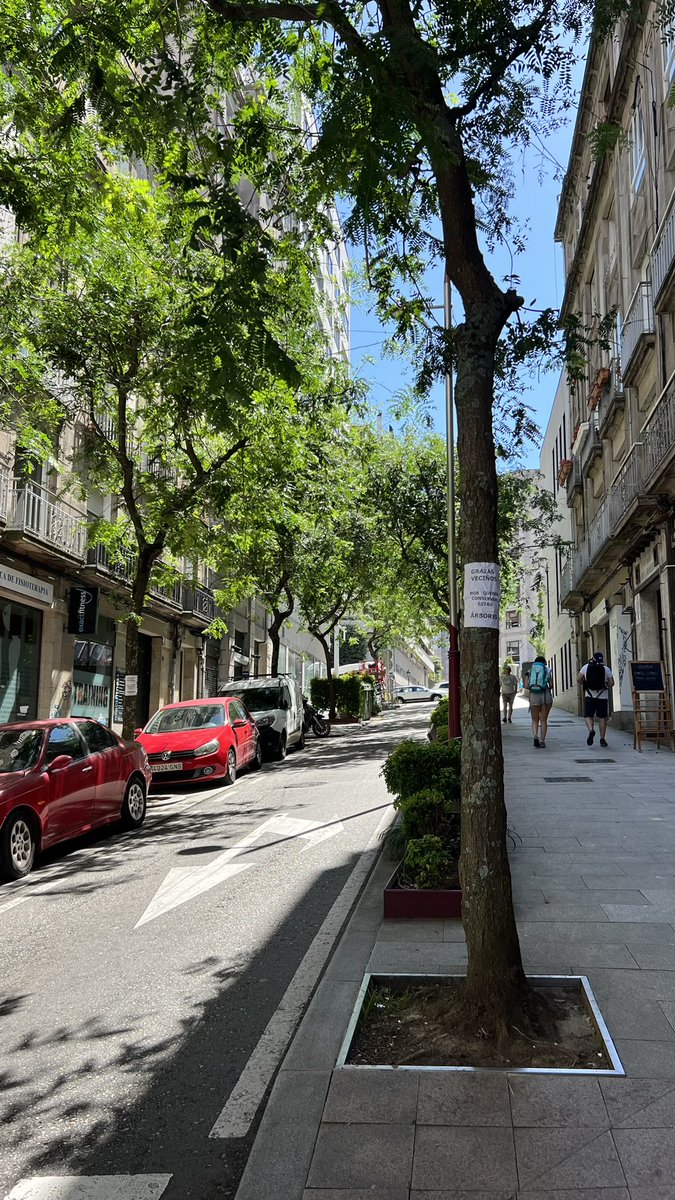 blondiemuser's tweet photo. #Vigo ¿Ves esta calle llena de verde? 🌳 Querían talar los árboles y gracias a los vecinos no lo van a hacer.

Esta calle está a menor temperatura 🌡️que la Gran Vía (calle que ves en la foto al fondo) ¿Por qué? Porque tiene árboles  🌳

Por más calles con árboles. Por más verde. https://t.co/zcPuTzjZQ3