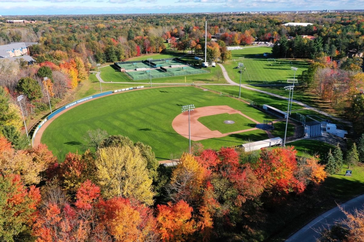 Home📍

@Northwood_BSB #RollTimbys