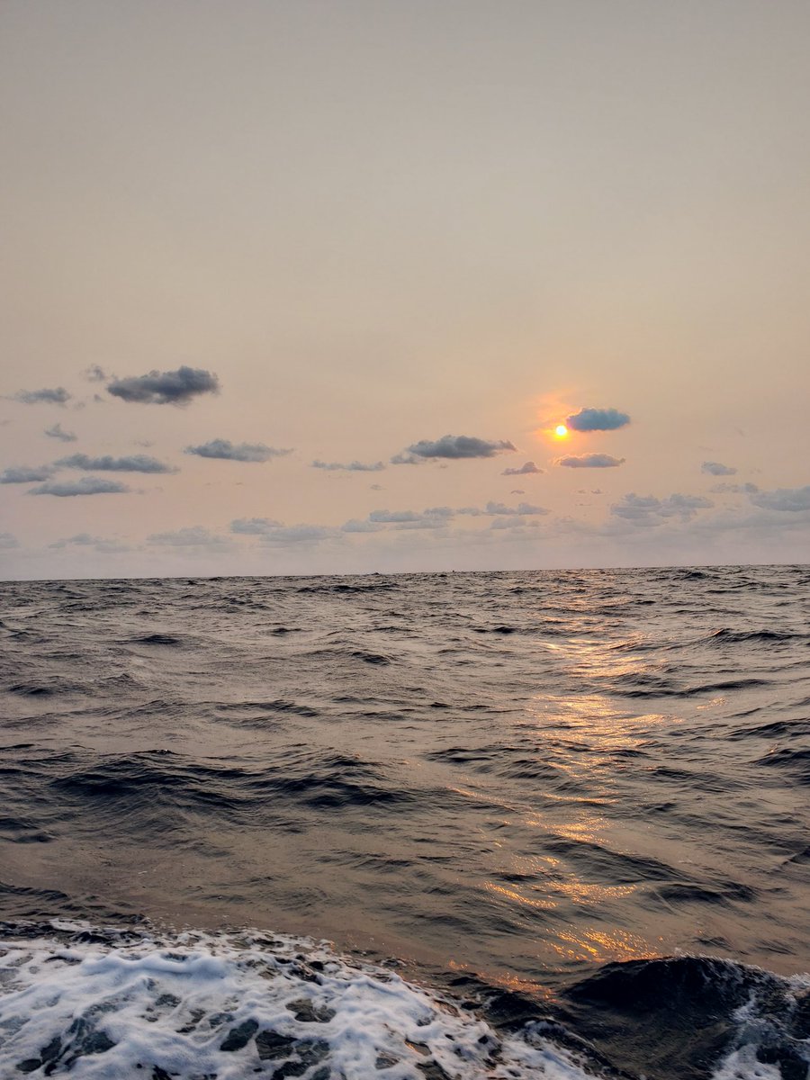 mouse_speedy's tweet photo. Some pretty pictures from my beach trip :) https://t.co/DGYcotukCq
