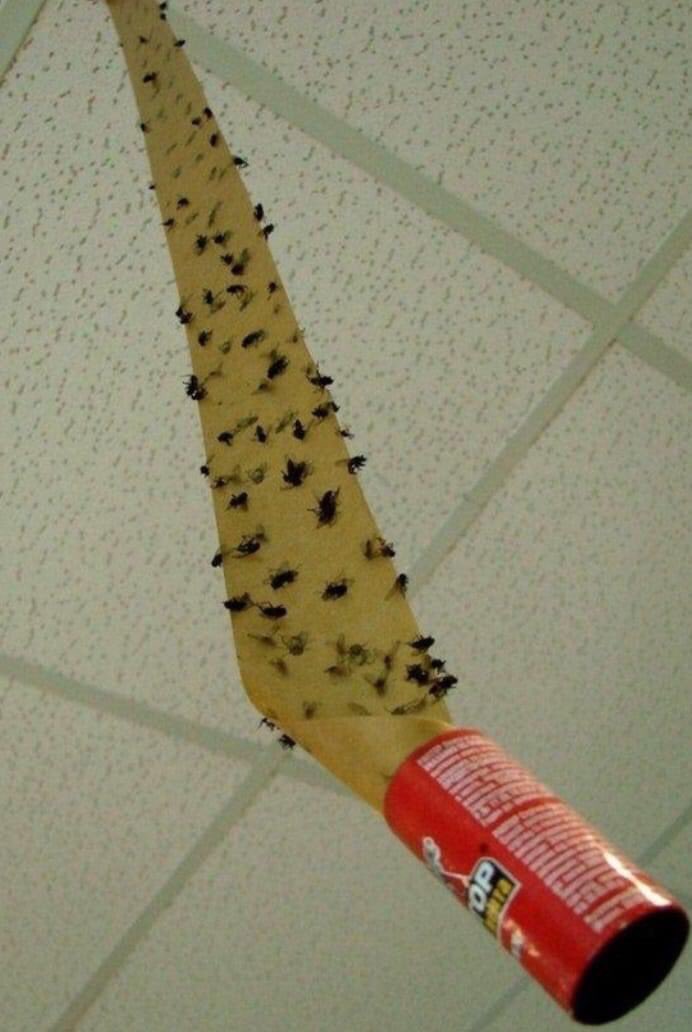 Anita Kuipers tweet media