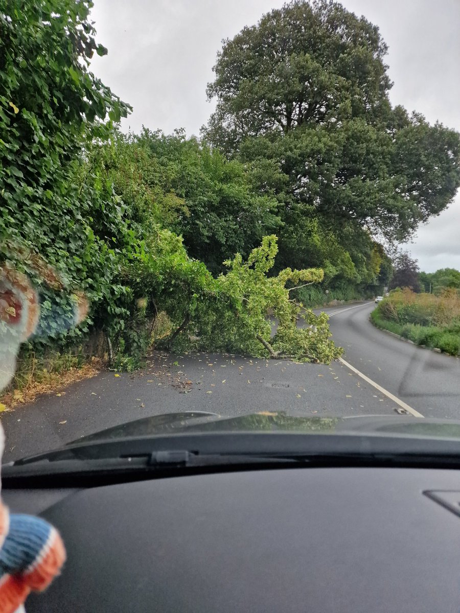 Becci Carter tweet media