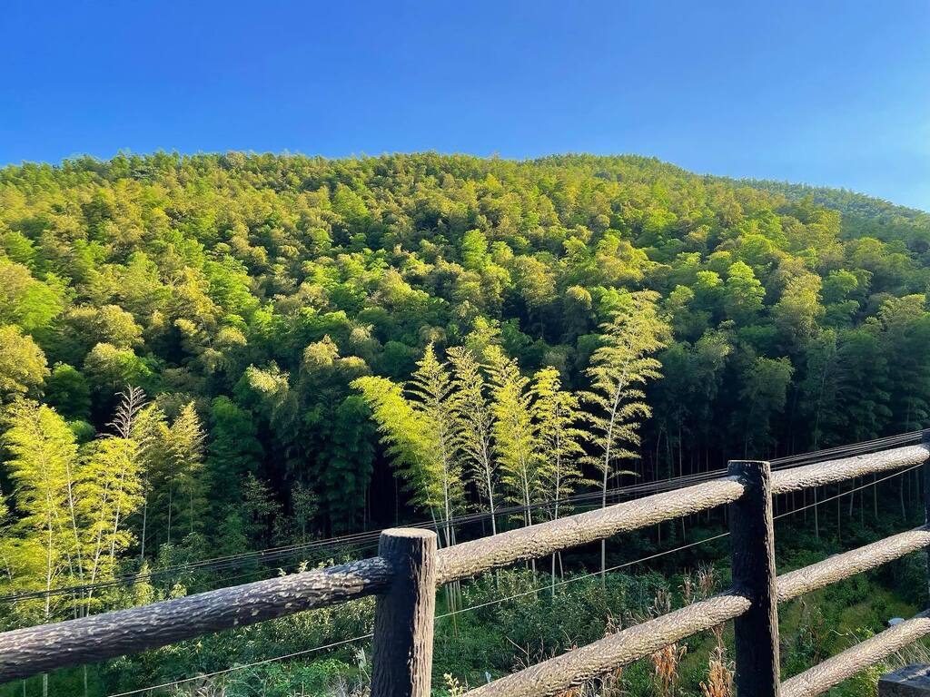 gorgeous. 

#hiking #outdoors