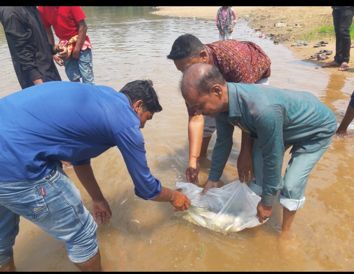 jajpurfish2023's tweet photo. Ranching activity of Jajpur District in Baitarani River https://t.co/Iz2UwyK647