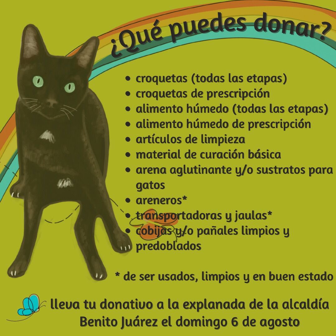 📢 ACOPIO GATO FEST - SÁBADO 5 DE AGOSTO 📢

📍VEGATTOS: Av. Insurgentes Centro, 19, piso 8. Colonia San Rafael, Cuauhtémoc. CDMX 

📍PLANTAS PIRAÑA: Villa del Sol Manzana 001, Villas de Cuautitlán,

📍GARROS GALERÍA: Chihuahua, 131. Roma Norte, CDMX 

TODOS RECIBEN de 11 a 17 h