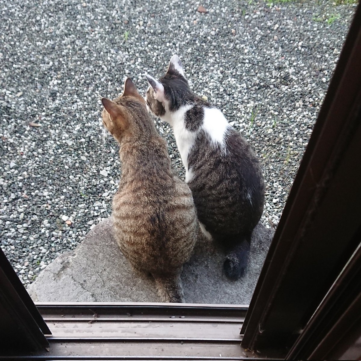 kwz9387's tweet photo. #新しいプロフィール画像 https://t.co/GSbEIRqTjX