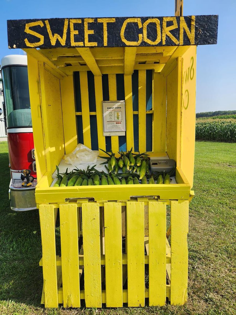 SpringValleyMa6's tweet image. Sweet corn is ready here at the farm! 3379 Perth Road 180 just north of Staffa. Just look for the SVM Fire Truck #farmtotable