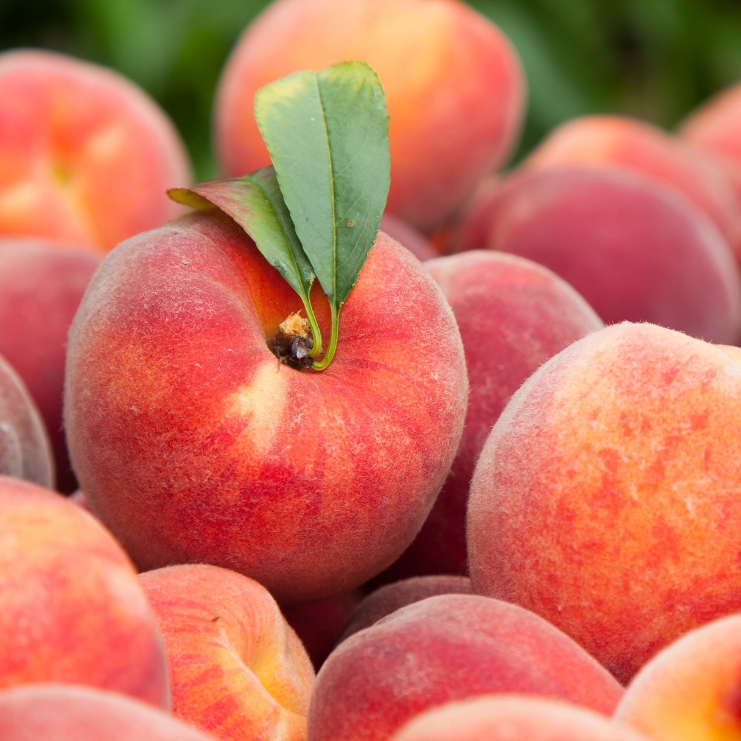 Did you know? August is National Peach Month! The 2023 Pigs &amp; Peaches BBQ Festival is right around the corner! In celebration of the month, let us know your favorite peach dish!