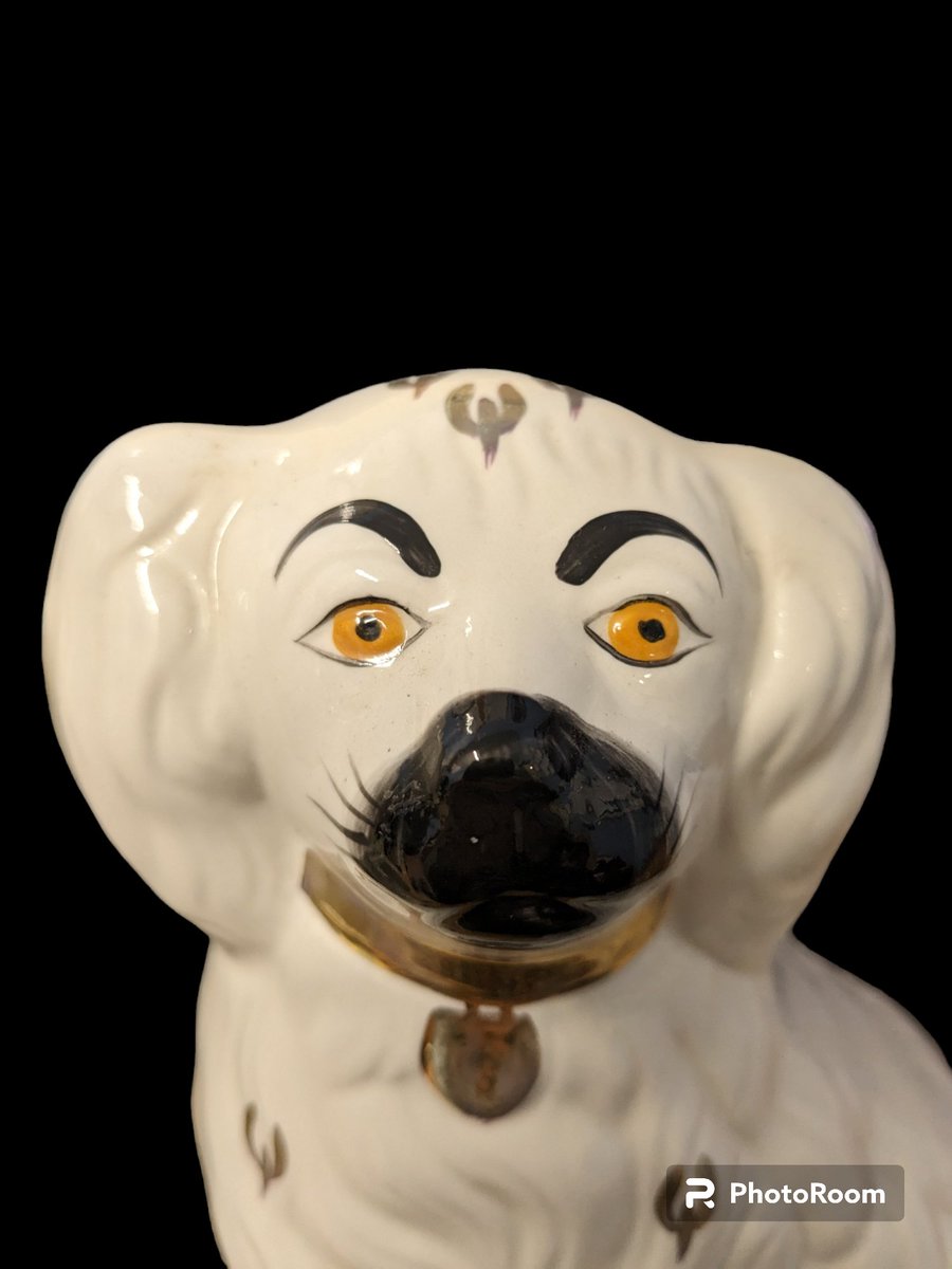 mindshoprhyl's tweet photo. Beautiful vintage pair of #Beswick #MantleDogs 1378-5, lovely condition and waiting for their new home #MyMindShop #Rhyl https://t.co/MHcpnyuIcA