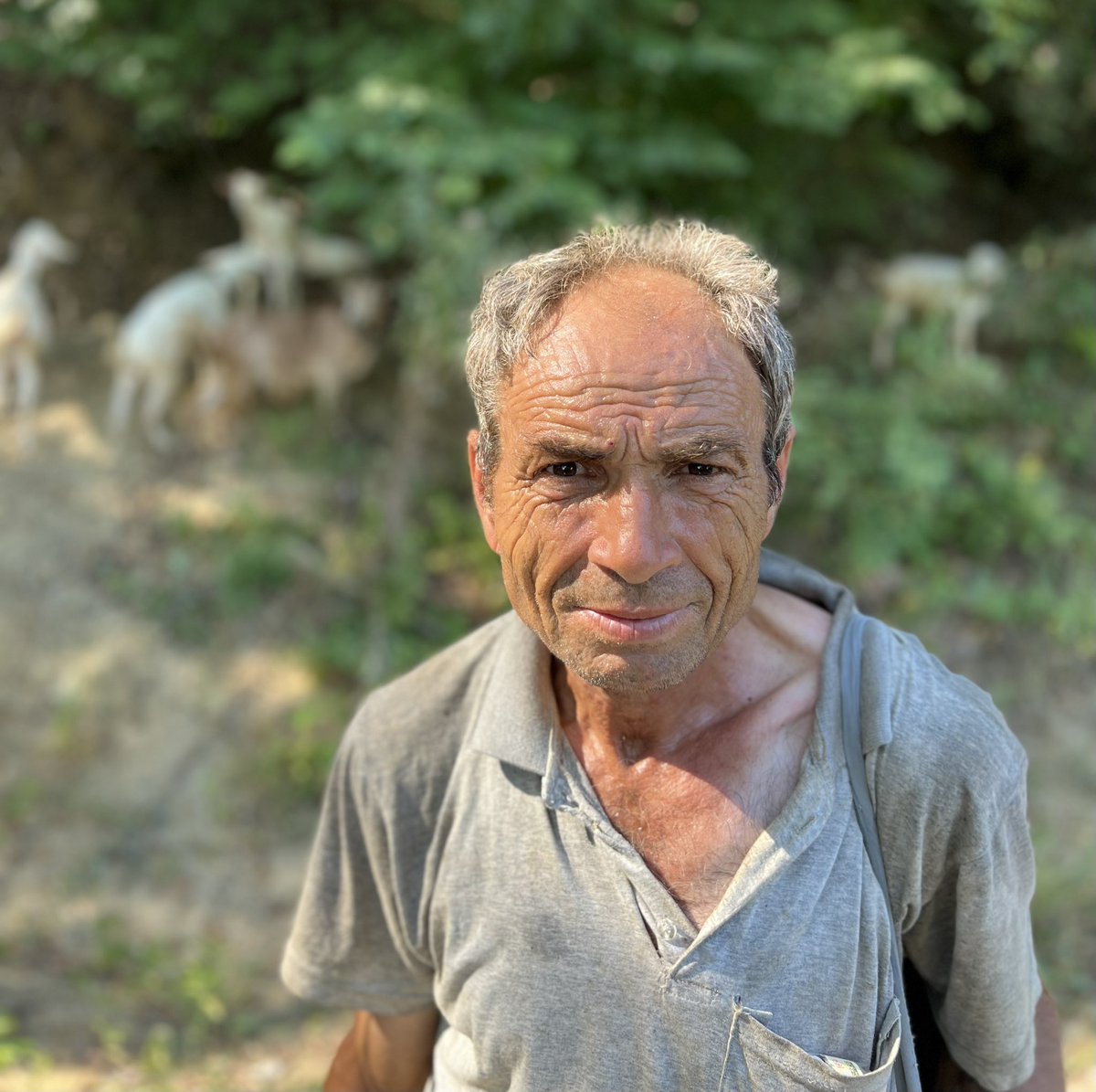 Bana 1 dakikanızı ayırın;

Size Dünya’nın en güzel kalpli insanlarından biri Ramazan Abi’yi anlatmak istiyorum.

Kendini bildiğinden beri Çobanlık yapıyormuş, Her gün bizim Çiftlik Evi’nin  önünden geçer, ben burdayken beraber bi çay içer sohbet ederiz sonra yoluna devam eder.