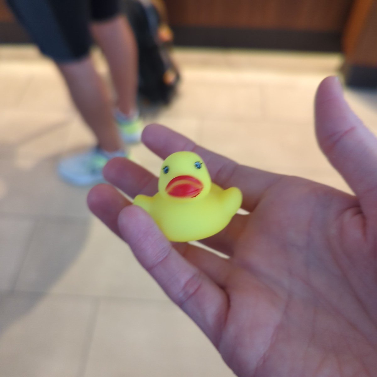 Ok #gencon, I'll bite, what's up with the baby ducks everywhere? 🤔🤔