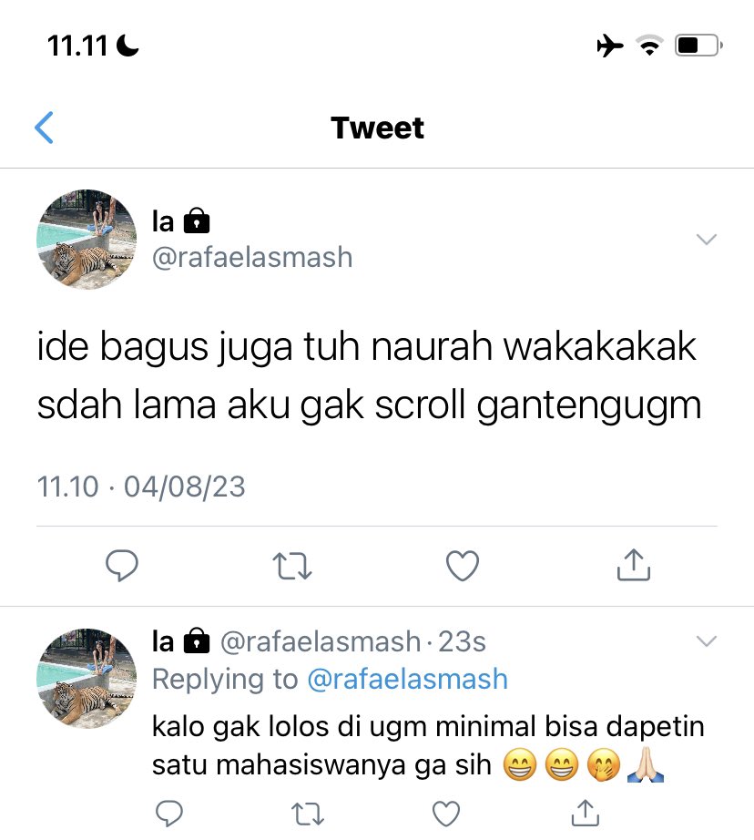 kael tweet media