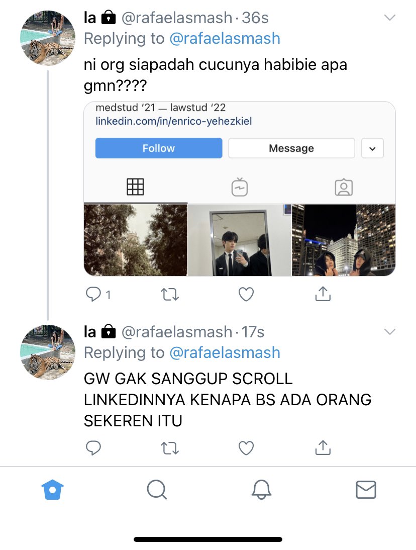 kael tweet media
