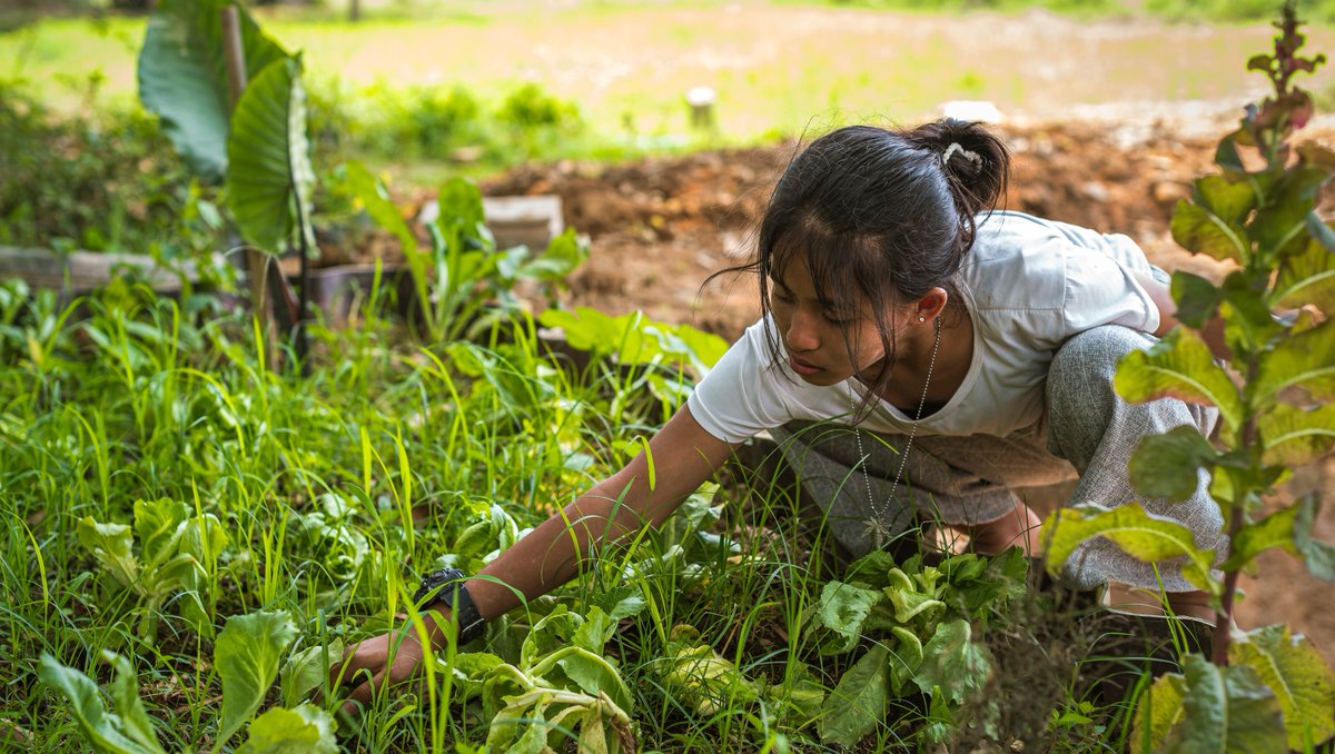 At #NotForSale, we're sowing the seeds of empowerment, one act of care at a time. We're fighting against exploitation and cultivating a planet where both people and nature thrive harmoniously. #JoinTheMovement and help us grow a better world for all. 🌎️ notforsalecampaign.org