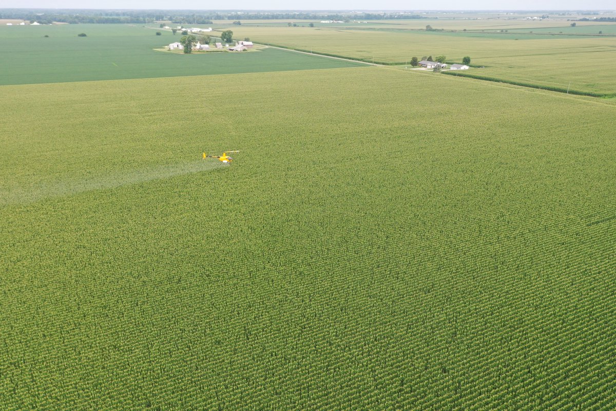 BecksHybrids's tweet photo. How do you apply your corn fungicide? 🤔🌽

Our #PFR team is comparing ground vs. air vs. drone in field scale trials at multiple locations to help answer this popular question! https://t.co/HAb7tK4rqI