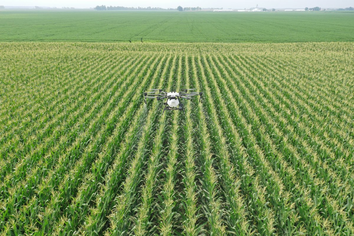 BecksHybrids's tweet photo. How do you apply your corn fungicide? 🤔🌽

Our #PFR team is comparing ground vs. air vs. drone in field scale trials at multiple locations to help answer this popular question! https://t.co/HAb7tK4rqI