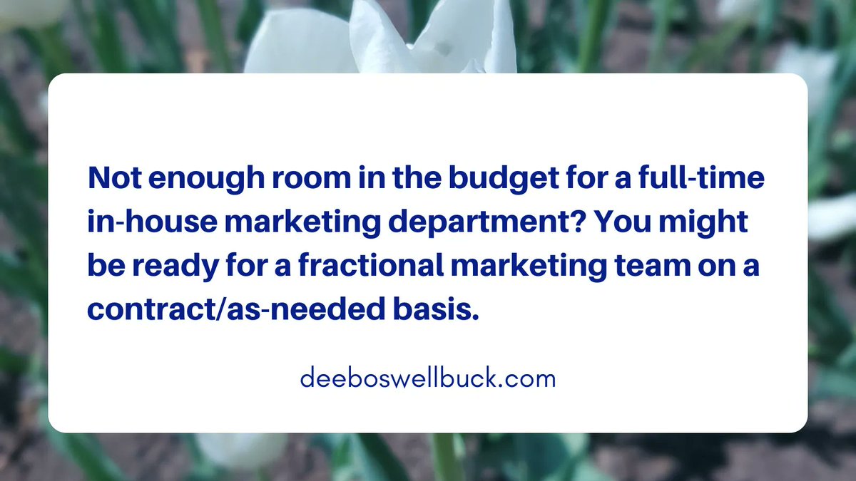 Not enough room in the budget for a full-time in-house marketing department? You might be ready for a fractional marketing team on a contract/as-needed basis. buff.ly/3O2TipP
#digitalmarketingtips #torontobusiness #canadianbusiness