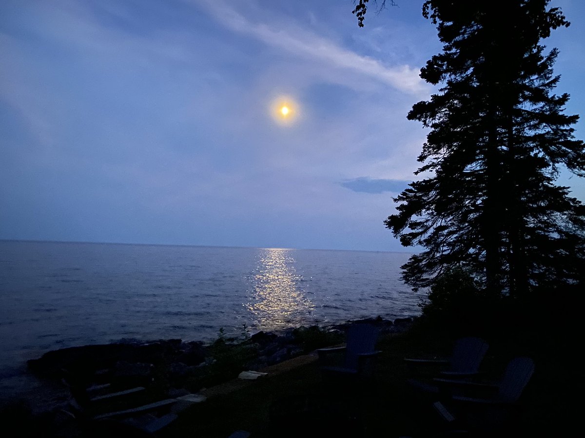 Eric Engwall tweet media