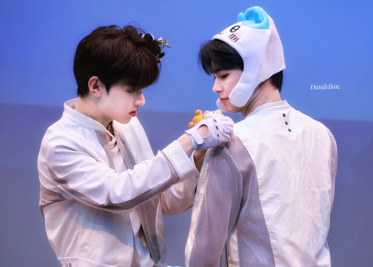 Dandelion_BN's tweet photo. 230729 HQ

눈빛은 거짓말을 못하는데..

#ZB1 #ZEROBASEONE #제베원 #제로베이스원  #장하오 #ZHANGHAO  #章昊 #ジャンハオ #성한빈 #SUNGHANBIN  #ソンハンビン https://t.co/pXdG7p5W96