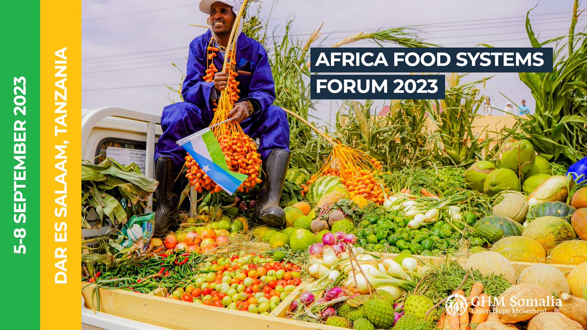 This years Summit will be the defining moment in highlighting & unlocking the political, policy, & financial commitments and innovations the continent has made & continues to work towards achieving sustainable food systems in Africa. @TheAGRF #ghmsomalia #FoodSecurity