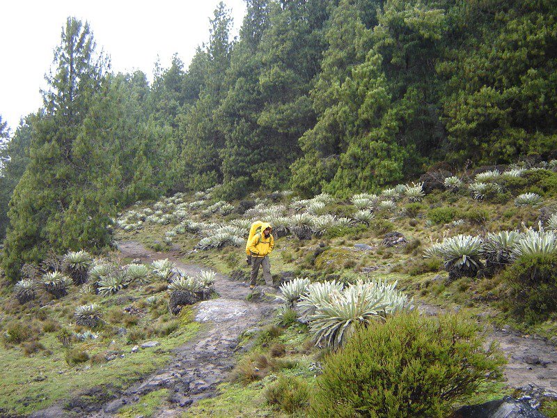 cumbres2000's tweet photo. Ascenso al Pico Mifes. Sierra Nevada de Merida. Jun 2012 https://t.co/oYyfb3EuIK