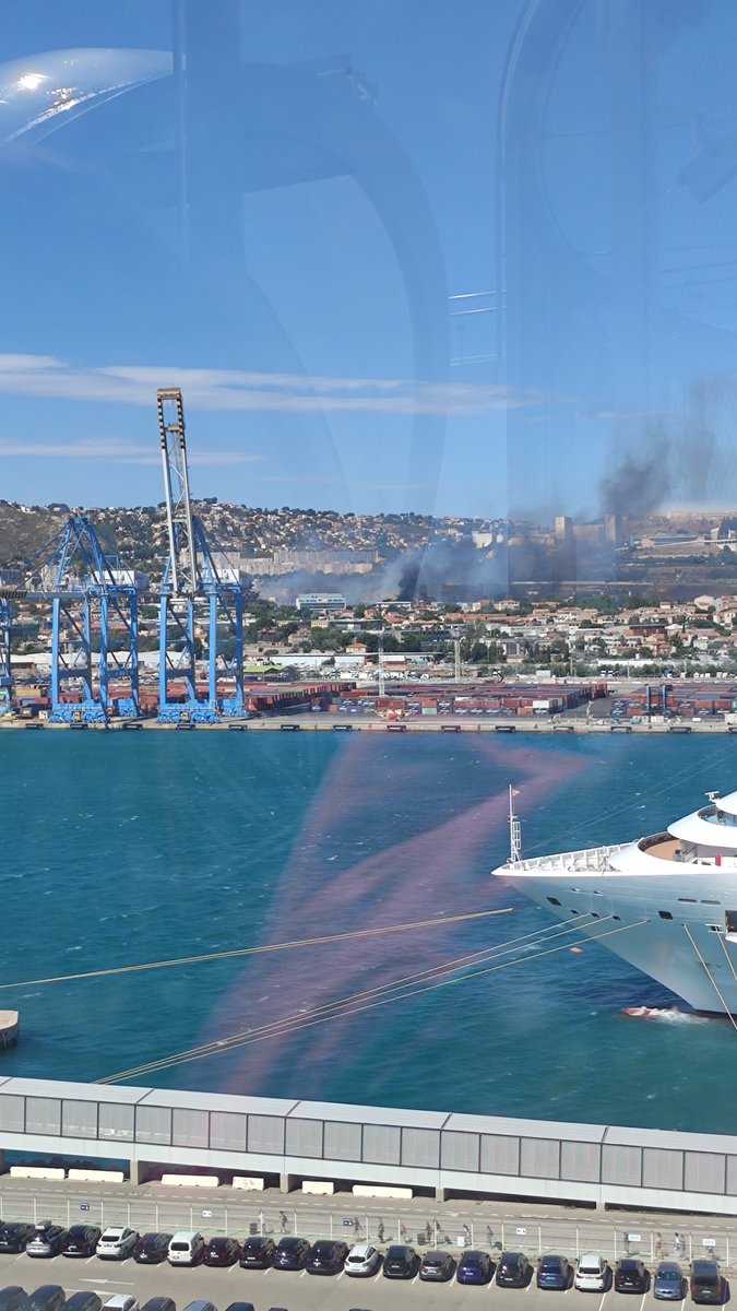 Elsa López tweet media