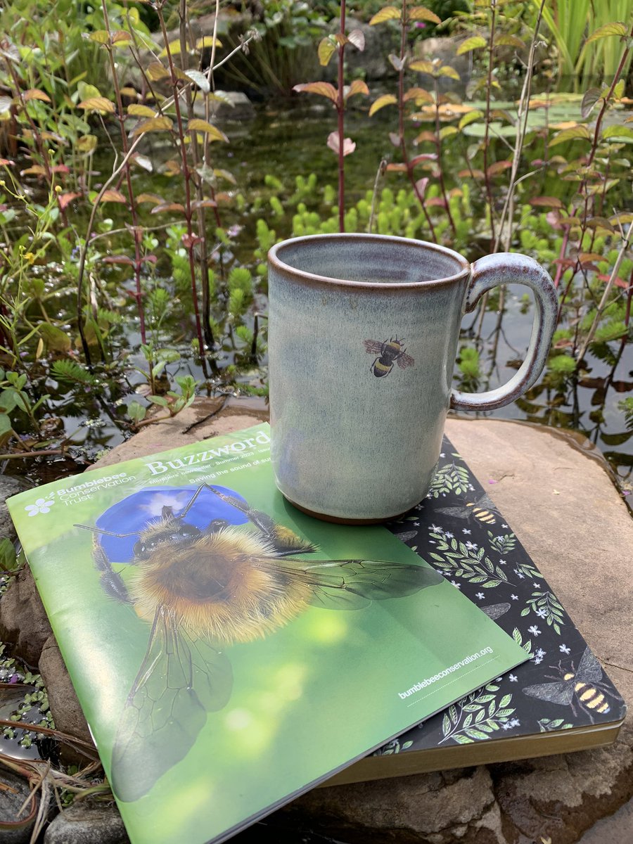 Tracytrees's tweet photo. What better way is there to enjoy a cuppa at the weekend than sitting by the pond reading Buzzword? @BumblebeeTrust @Buzz_dont_tweet #bees #pondlife #pollinators #bumbleebee #butterflies #nature https://t.co/SN7CXtAesb