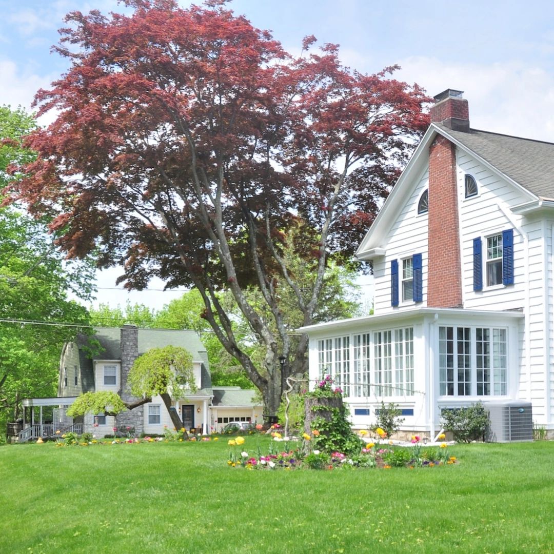 Did you know that overgrown tree roots are a common cause of sewer-line blockages? If you notice slow drains or gurgling noises, it might be time to call in an expert for a thorough inspection.