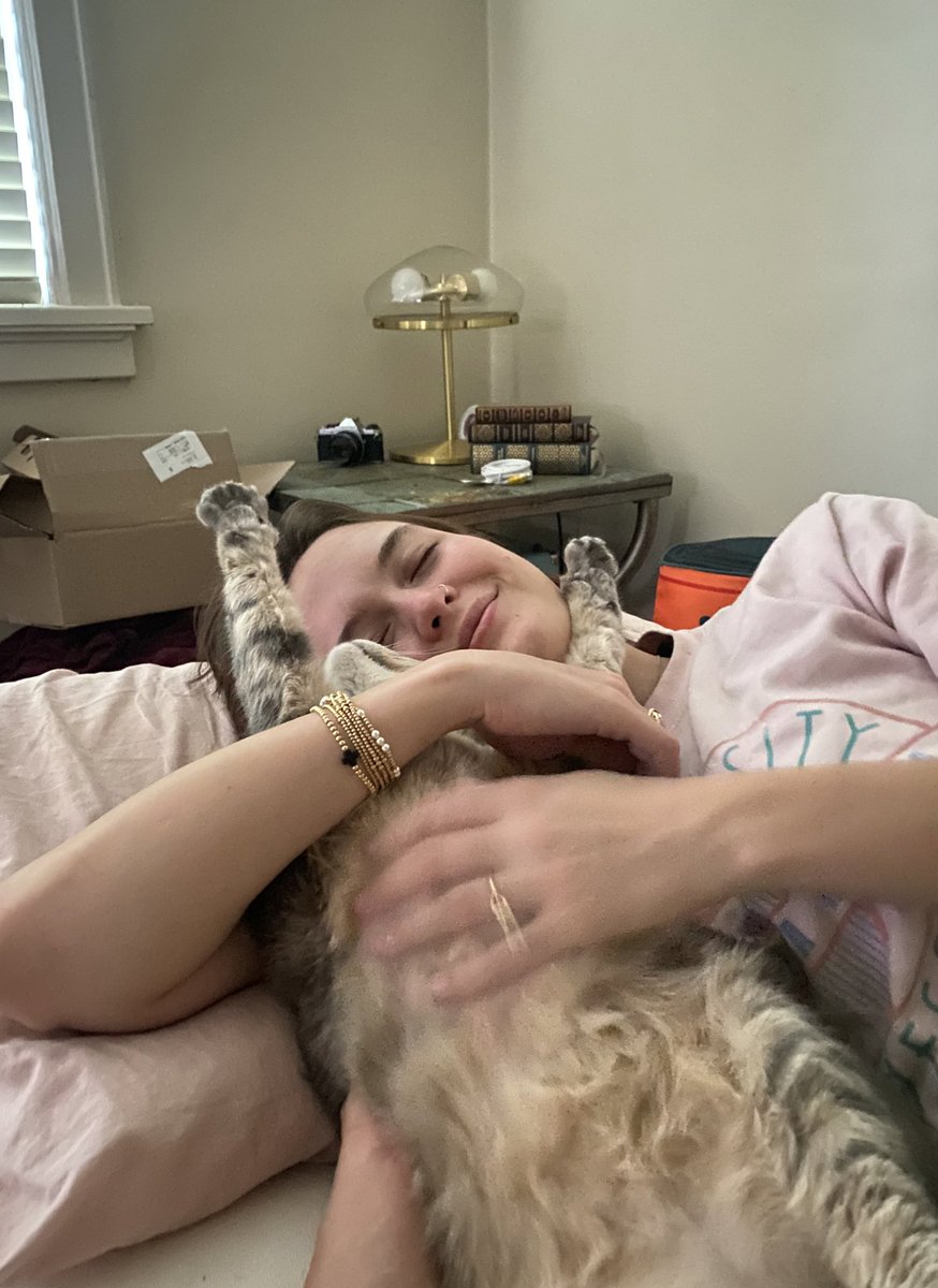 good night kitty