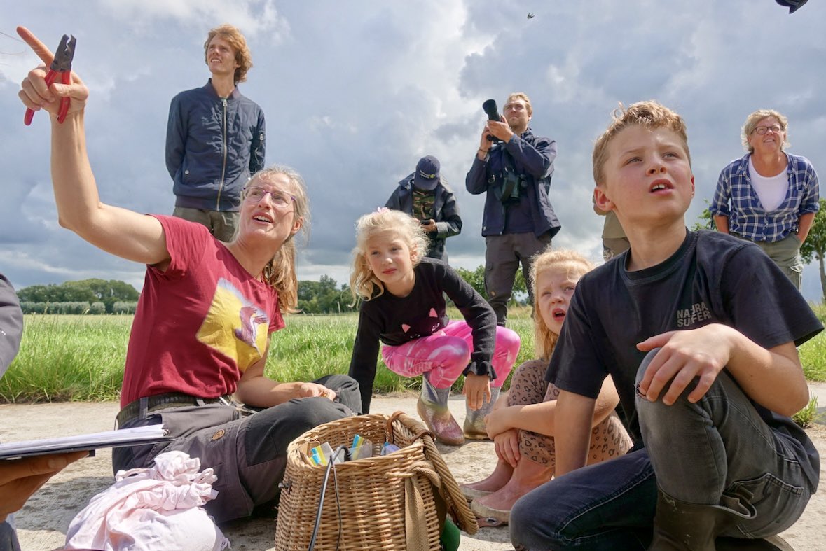 Morgen (zondag ) om 09:30 bij Vroege Vogels op Radio 1: bescheiden feestje vanwege record aantal jonge grauwe kiekendieven. Populatie echter nog op kwetsbaar niveau. <a href="/provgroningen/">Provincie Groningen</a>  <a href="/FlevoNieuws/">Provincie Flevoland</a> <a href="/vogelnieuws/">Vogelbescherming NL</a> Foto’s: Rob Buiter
