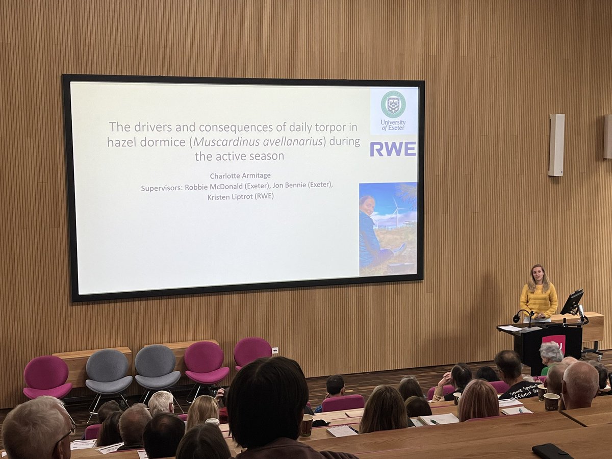 Why do hazel dormice enter torpor (mini hibernations for a couple of hours during the day) when they should be active looking for food and mates? Lots of reasons and potential consequences presented this morning by <a href="/CharlotteArmi10/">Charlotte Armitage</a>, thanks for sharing your PhD research with us!