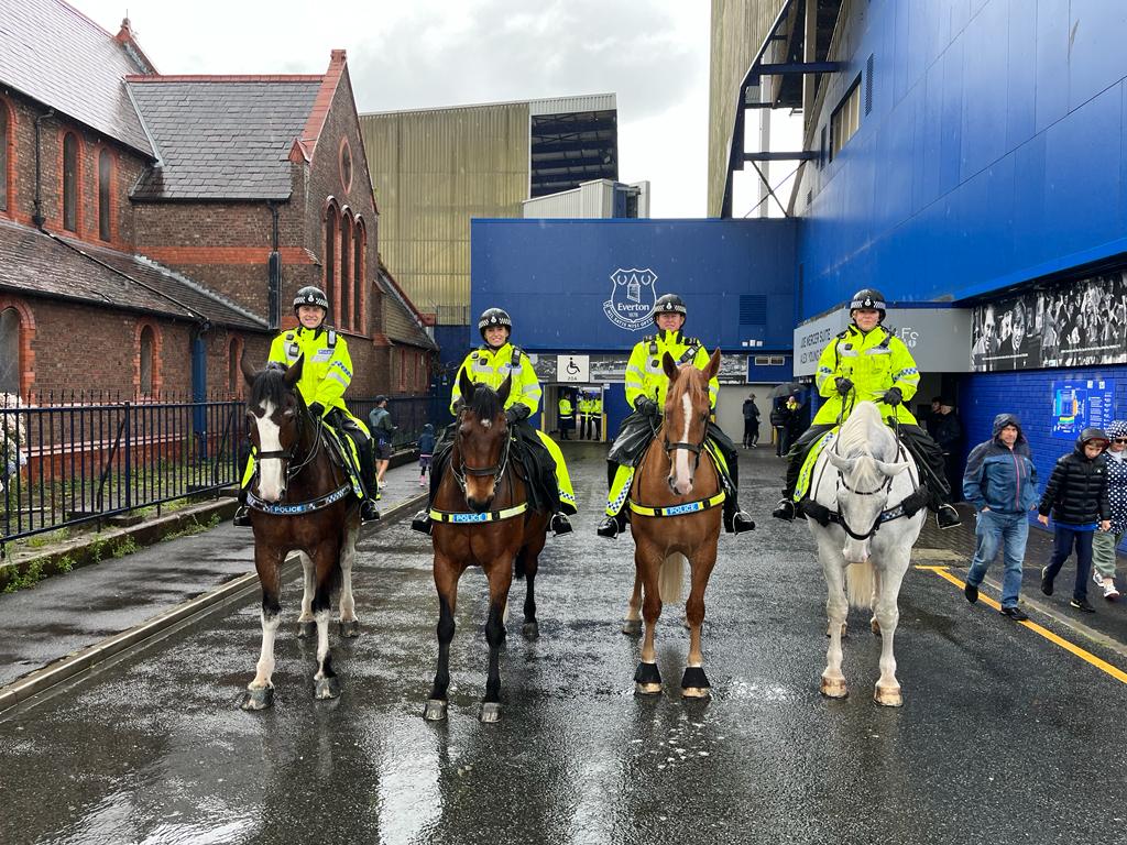 MerPolMounted's tweet image. Carter is at his first football match today along side Arnie, Jake and Silver.
They are patrolling the EFC v Sporting game.
#StandTall #PHCarter #PHJake #PHArnie #PHSilver #FirstFootballPatrol