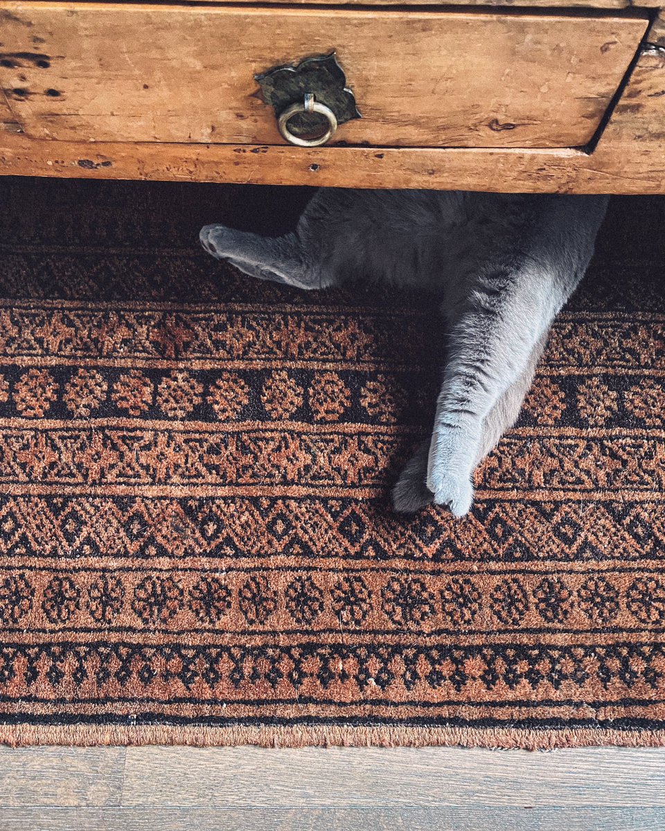 Caturday Part 1 &amp; 2