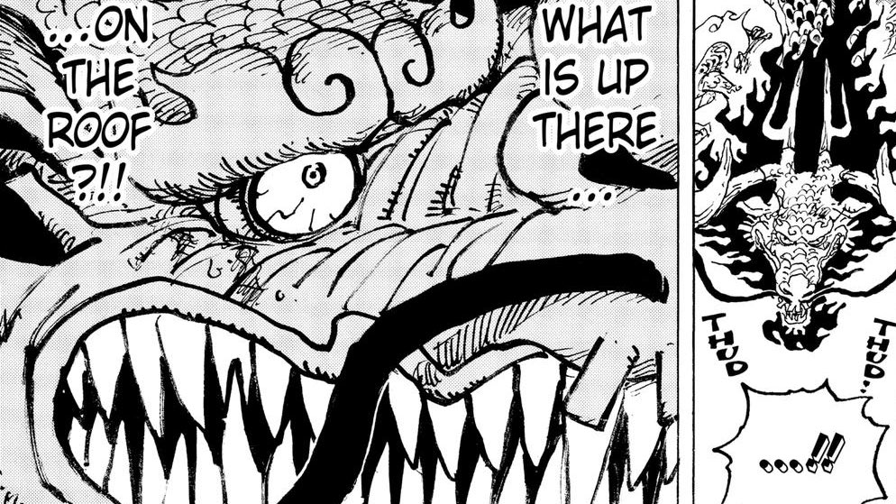 Soul_StormOP's tweet photo. TODAY IS THE DAY #ONEPIECE https://t.co/zVyPBqZCkA