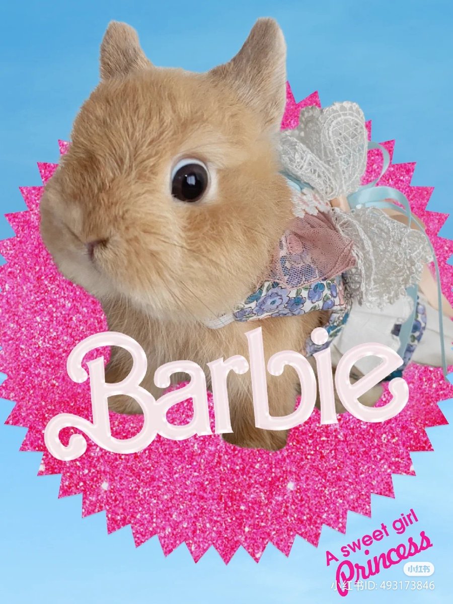 lovesickdoe's tweet photo. barbie bunny https://t.co/ntuPXUj6Rz