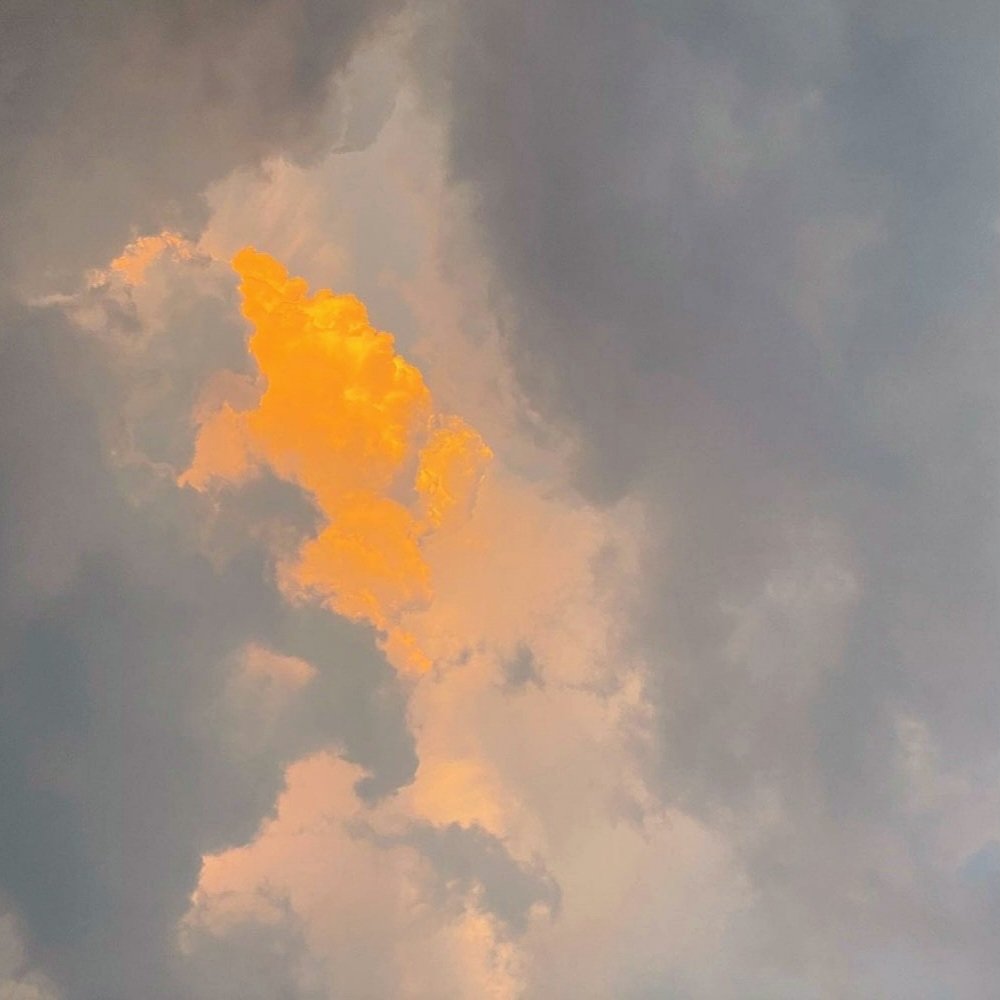 kashhiiff's tweet photo. Shades of golden hour>> https://t.co/kuIt5IAZja