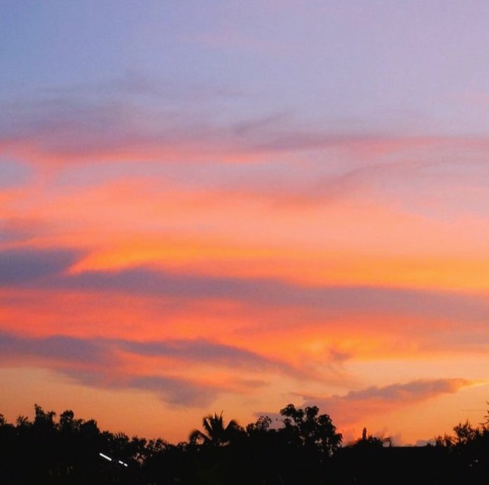 kashhiiff's tweet photo. Shades of golden hour>> https://t.co/kuIt5IAZja