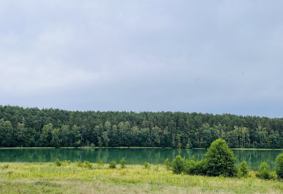 zimnokrwisty's tweet image. #Kaszuby 💚