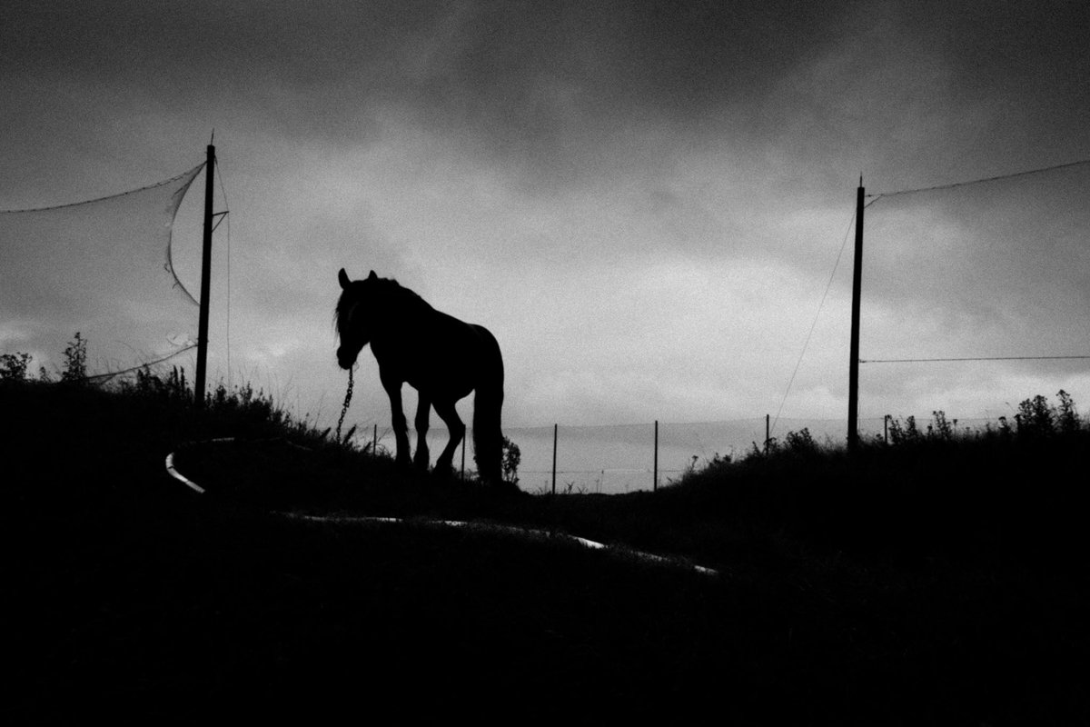 ᴘʜɪʟ ᴋɴᴇᴇɴ 🇮🇲 tweet media