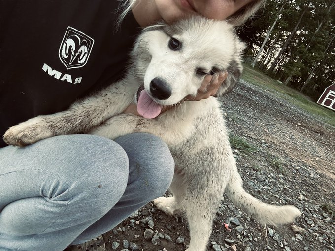 Wrenly Mae 💕 https://t.co/7CoVHVEzYi