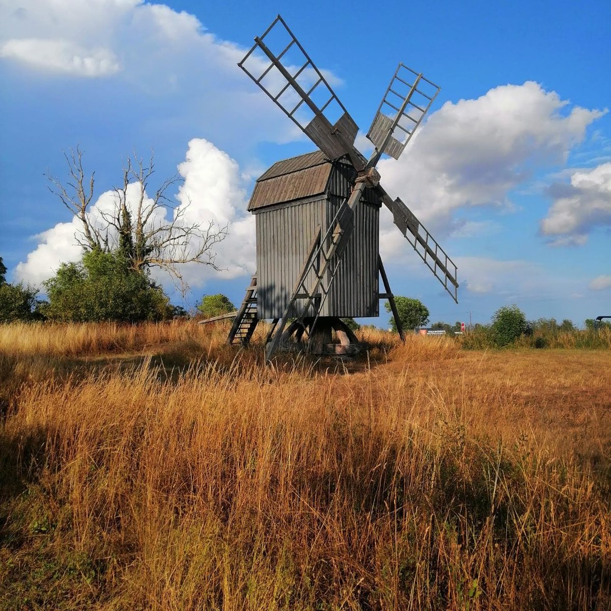 BAPitzemburg's tweet image. Enkele minuten geleden vertrokken 64 leerlingen van BA Caputsteen, BA Pitzemburg en TA Horteco op zomerkamp naar Oland in Zweden. Ze verblijven er een hele week op Lundegård Camping. We wensen hen heel veel plezier. #BusleydenAtheneum #samenjezelfzijn @GO_onderwijs #GOverbindt