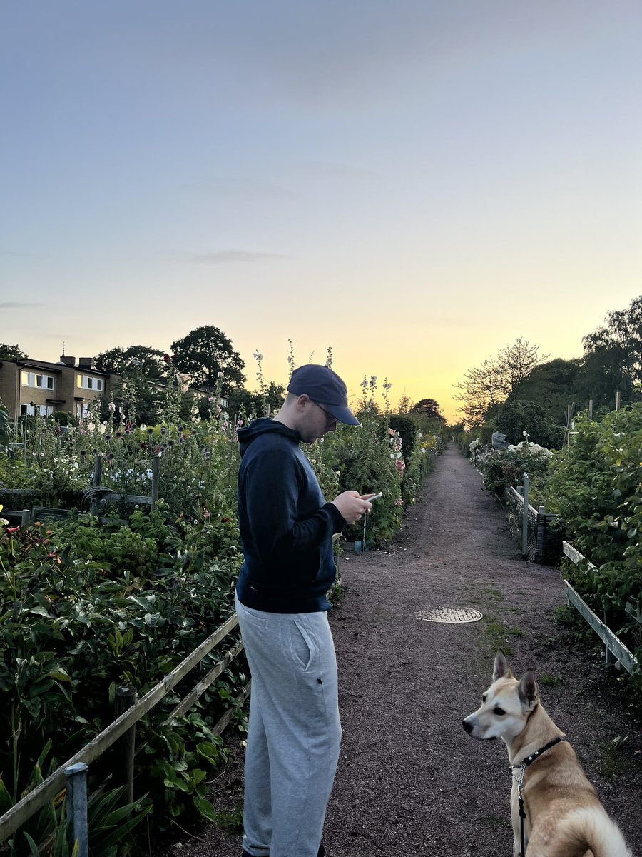 Att dela livet med dessa två🤧🤧🤧