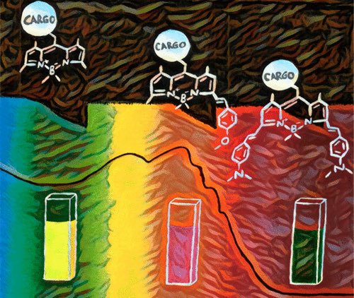 meso-Methyl BODIPY Photocages: Mechanisms, Photochemical Properties, and Applications

@J_A_C_S @isciverse #Chemistry #chemed #scicomm #news #Technology #Tech #NewsBreak #research #science #AcademicTwitter

pubs.acs.org/doi/10.1021/ja…