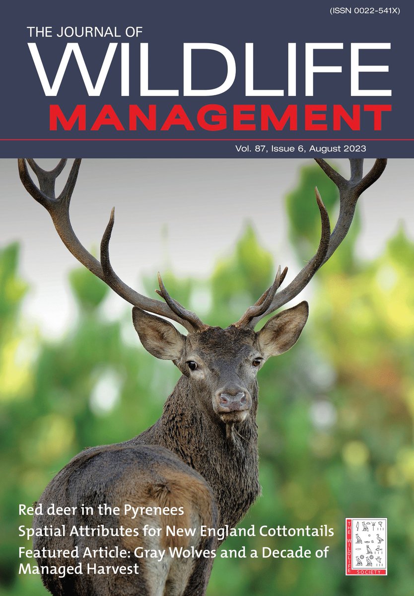 wildlifesociety's tweet photo. The August issue of JWM features research on gray wolf occupancy after a decade of harvest management. It also includes research on red deer genetics, differing responses to habitat management by New England and eastern cottontails 1/2 https://t.co/YfqWeA7GVY