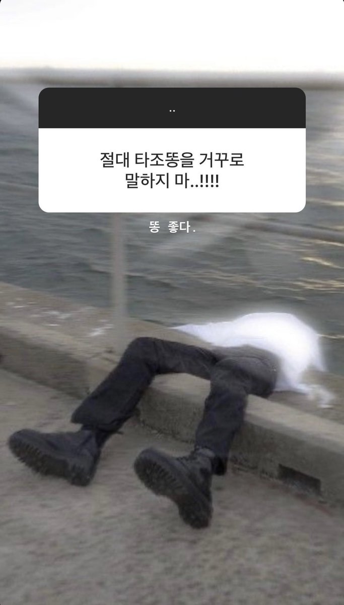 저는 켄시의 밴드 세션도 좋아하지만 국내 밴드도 정말 좋아해요 😵‍💫🤍 그런 의미로 실리카겔 노래 하나 추천하고 갑니당…🎶