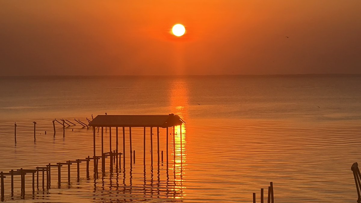 You Will Aways Be Our Sunshine🧡 Mobile Bay, Alabama #Sunrise #Photography #Clouds #Weather #RipMallini @spann @RealSaltLife @NWSMobile @mynbc15 @WKRGEd @michaelwhitewx @Kelly_WPMI @ThomasGeboyWX @PicPoet @MyRadarWX @ThePhotoHour @weatherchannel @StormHour @DauphinIslandSM