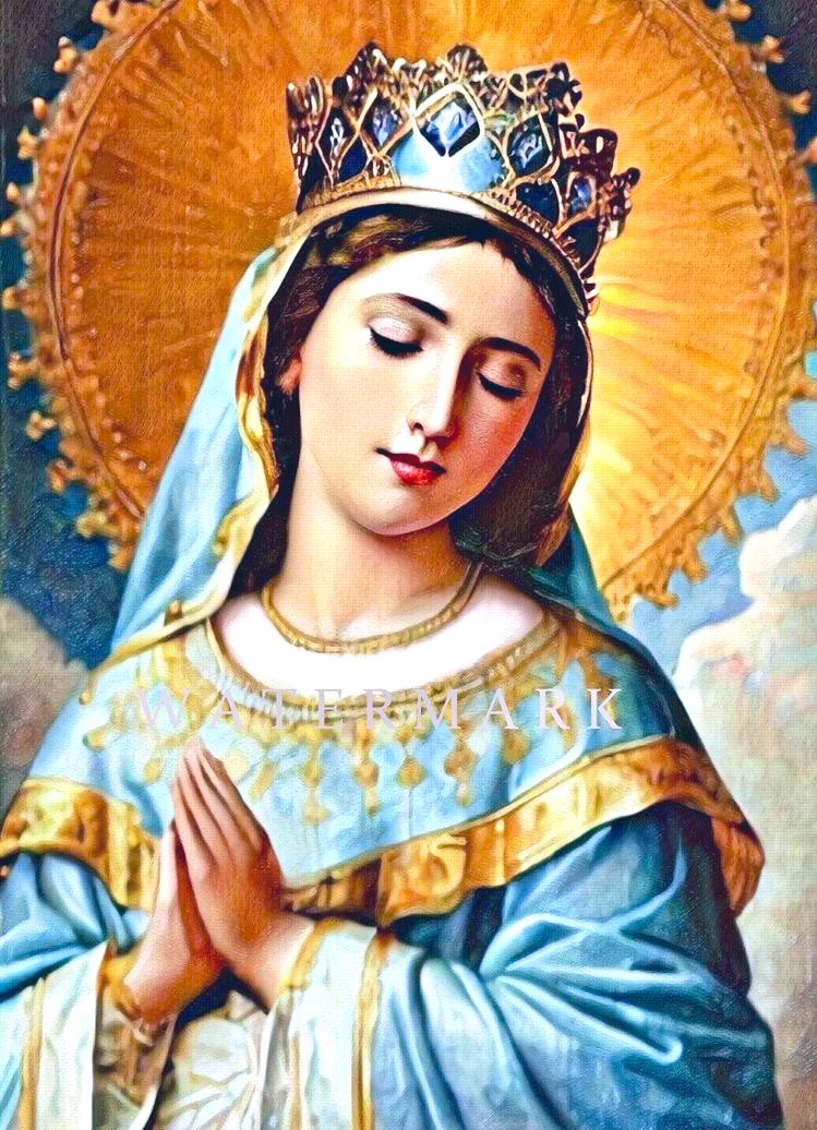 Mother of Christ, pray for us. 
Mother of the Church, pray for us. 
Mother of Mercy, pray for us. 
Mother of Divine Grace, pray for us. 
Mother of Hope, pray for us. 
Mother Most Pure, pray for us. 
Mother Most Chaste, pray for us. 
Mother Inviolate, pray for us. 
Mother