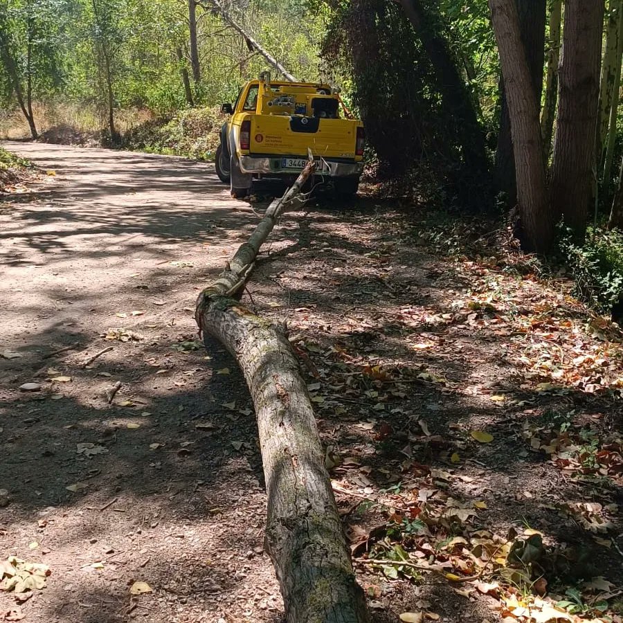 ADF Forestec (Sant Celoni) tweet media