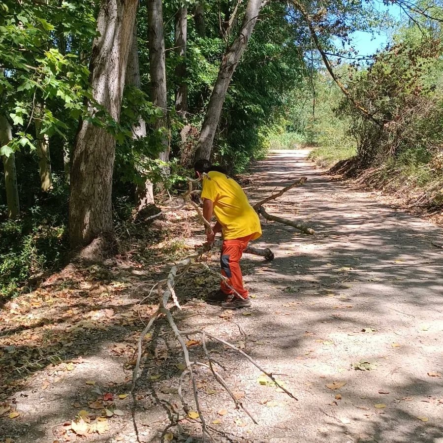 ADF Forestec (Sant Celoni) tweet media