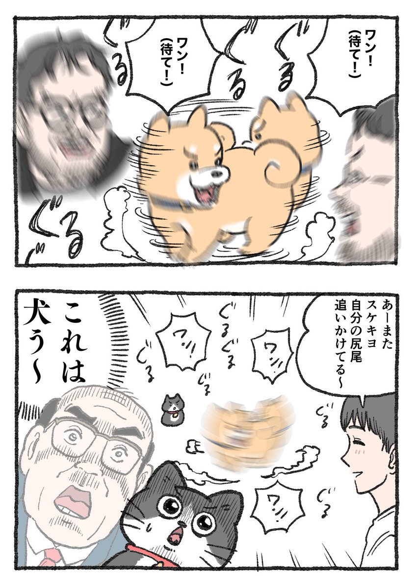 ねこに転生したおじさん。その182